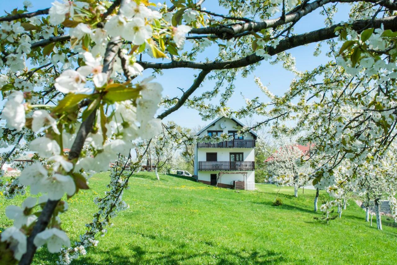House Spehar Seliste Dreznicko Exterior foto