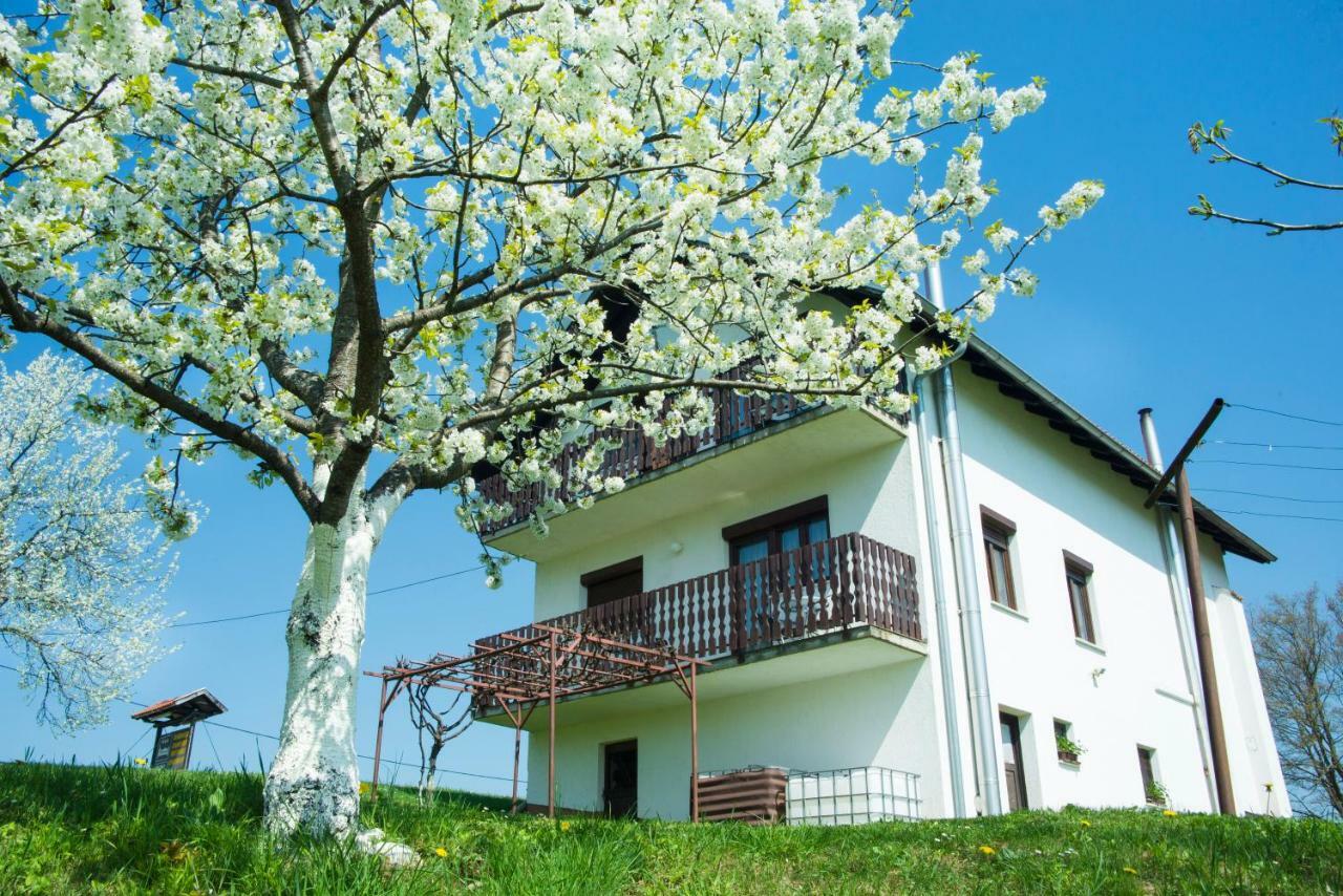 House Spehar Seliste Dreznicko Exterior foto