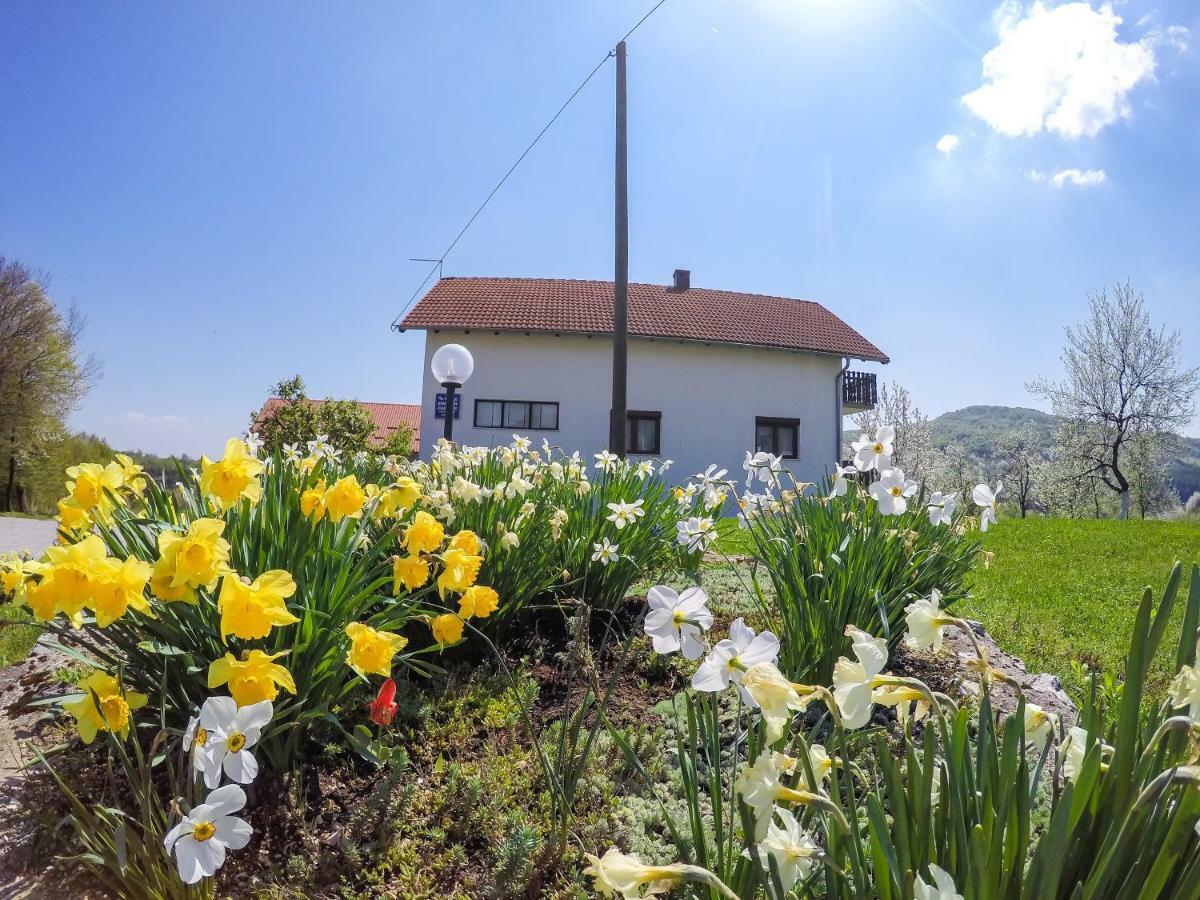 House Spehar Seliste Dreznicko Exterior foto