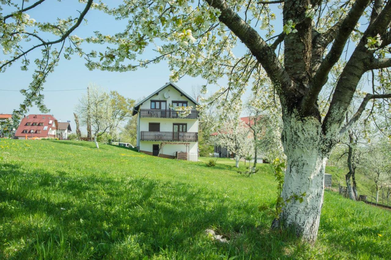 House Spehar Seliste Dreznicko Exterior foto